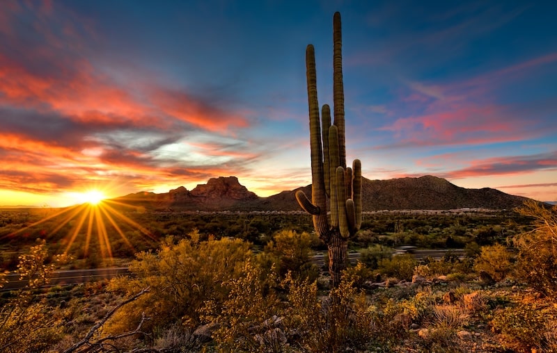 Saguaro Sunset in Arizona
